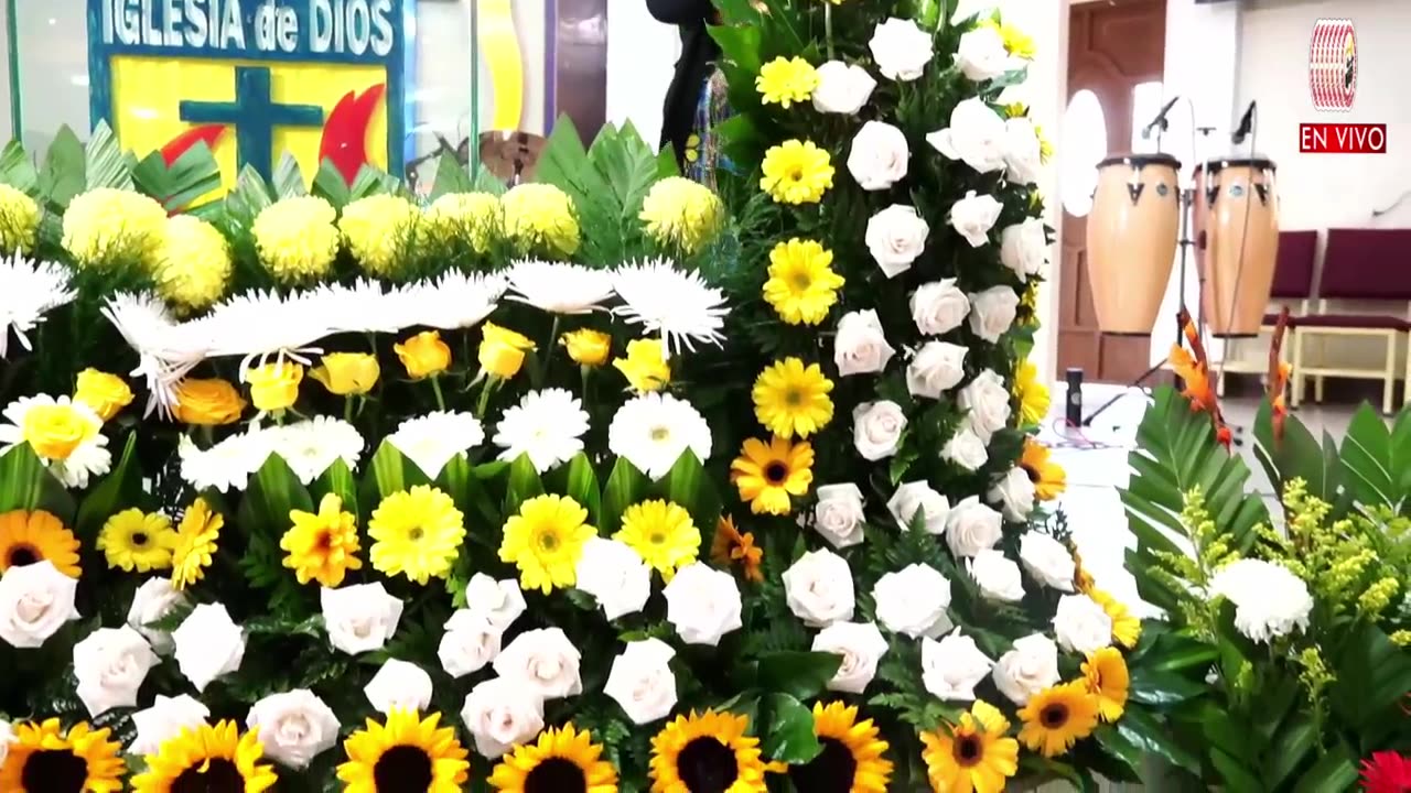 ❤ BODAS DE ORO❤