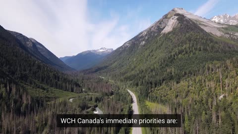 A CANADIAN STORY