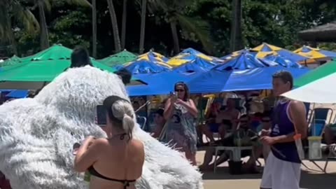 😂 Dancing panda on the beach in Brazil! 🇧🇷