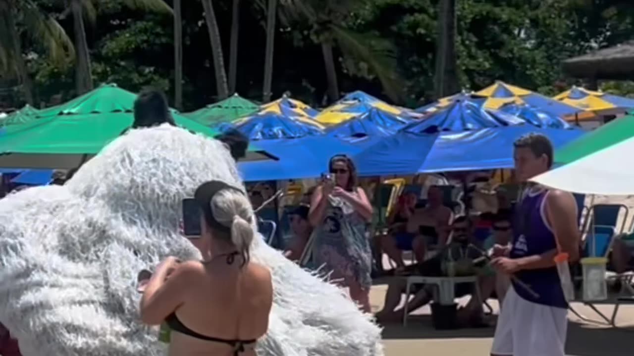 😂 Dancing panda on the beach in Brazil! 🇧🇷