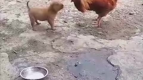 Disagreement