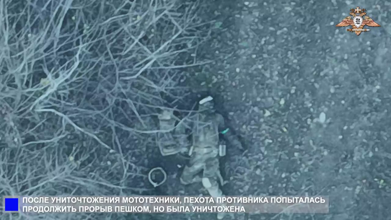 Mirnograd (Dimitrov): Another Failed Attempt to Break Encirclement