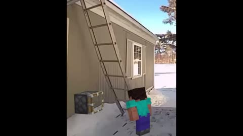 20 Best Minecraft Steve Memes