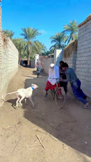 Funny Reel 😇😂🤣 | Try Not to Laugh Comedy Moments & Viral Fun Clips