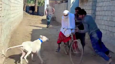 Funny Reel 😇😂🤣 | Try Not to Laugh Comedy Moments & Viral Fun Clips