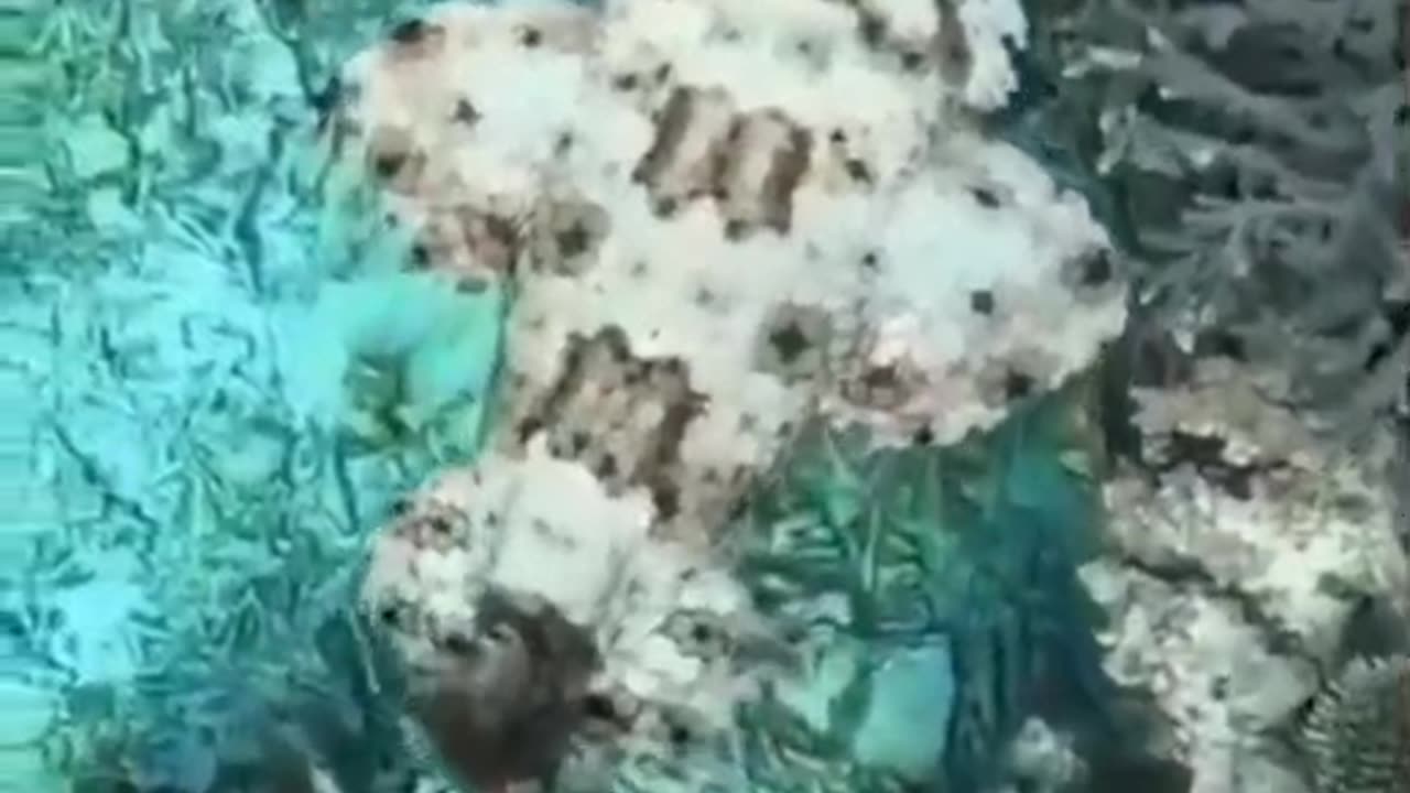 wonders of the world