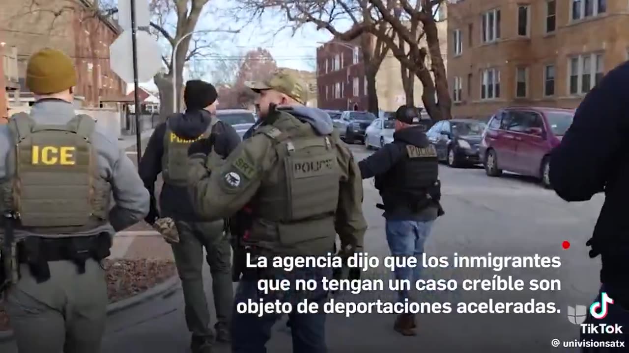 Illegal alien woman getting arrested by ICE agents