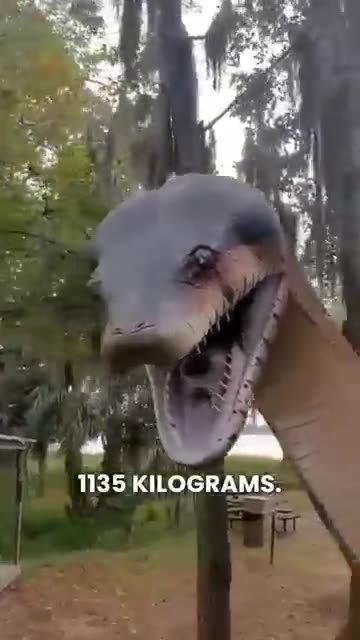 9 Animal Facts That Will Make You Think Twice! #AnimalFacts #Wildlife #Facts