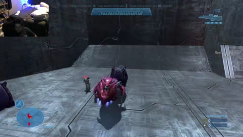 Vinny's Experience - HALO