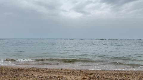 Shallow Water Bay: Heart Drifts Quietly with the Tide
