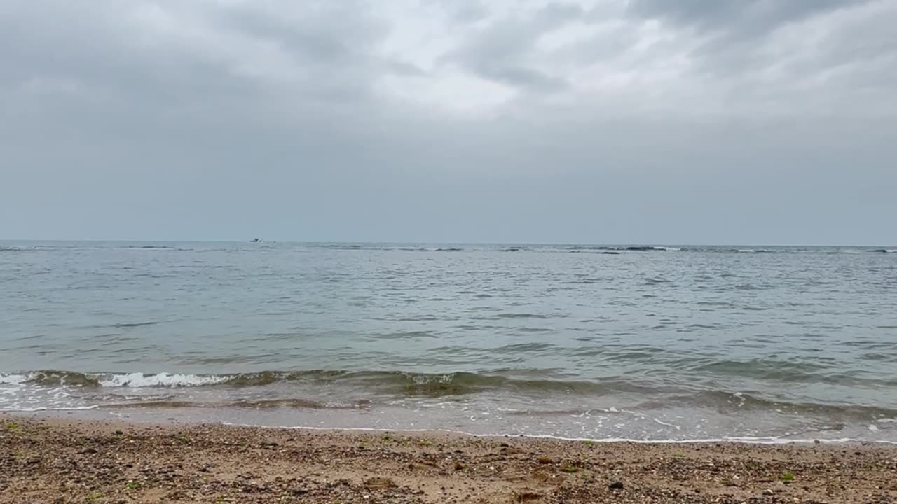 Shallow Water Bay: Heart Drifts Quietly with the Tide