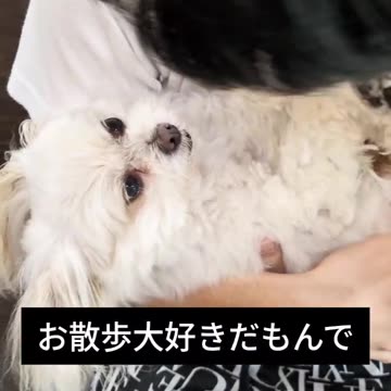 good morning,my friend!