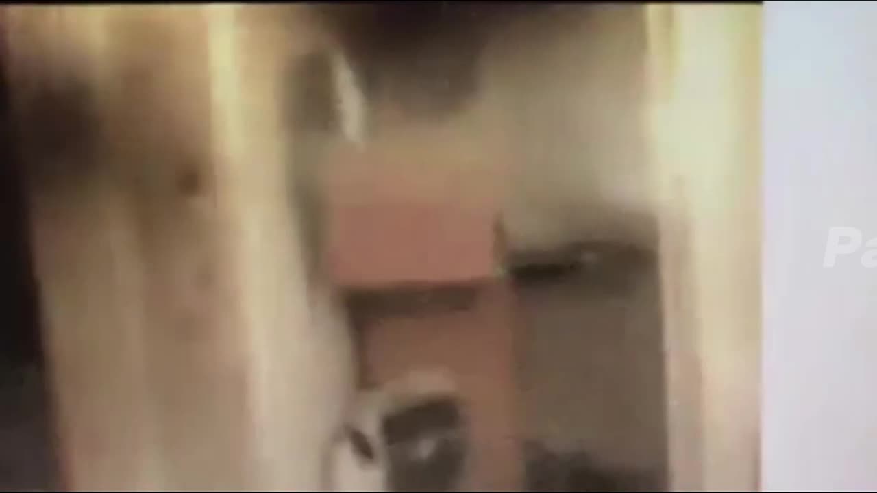 Paranormal Activity #43