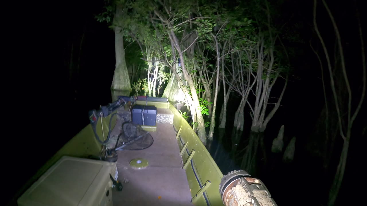 Bush Hooking for Catfish on the Little Pee Dee River, South