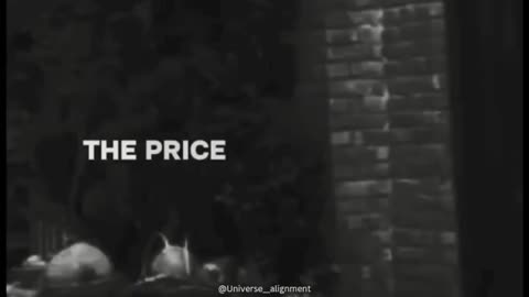 Why intelligent people are often alone - Alan Watts