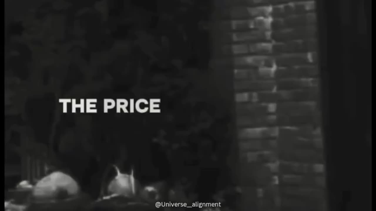 Why intelligent people are often alone - Alan Watts