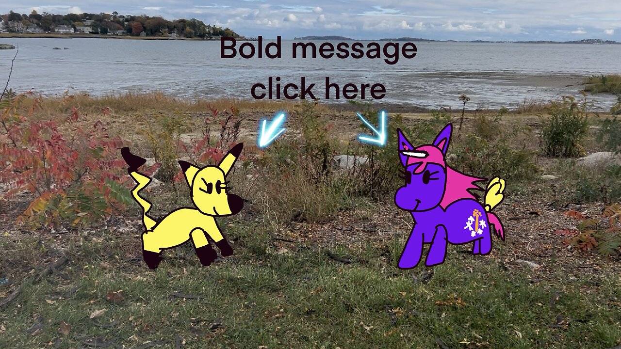 Colomon pony and Colomon message