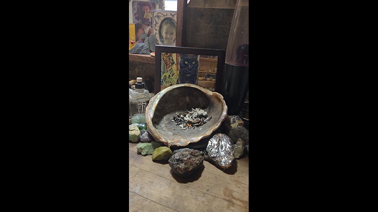 12/23/25 Sudden Zippy