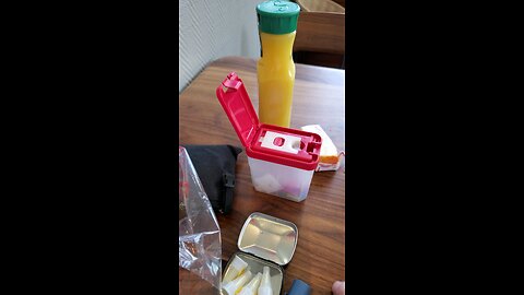 Demonstrating portable sharps container