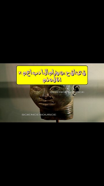 حضارات غابات الأمازون المفقودة: أسرار معابد عملاقة وأدلة صادمة!