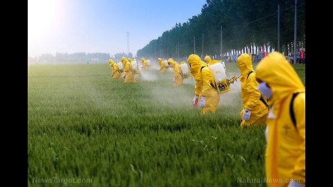 Jesteś tym co jesz - sprawdź czy masz "Syndrom Rundup."