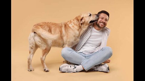 dogcrazy