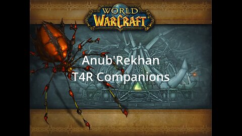 Anub'Rekhan - Microbot WOW - Guide with companions
