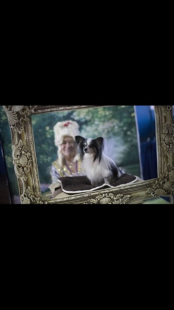 New York City Education Officials Feast On $745K At Favored Eatery, Taxpayers Foot The Bill