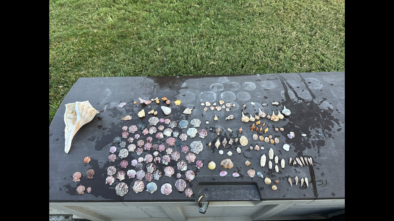 Beach Finds 4/20/2025 | 4K