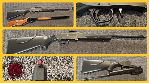 Charles Daly CD101 .410: The ULTIMATE Lightweight Shotgun? (Hunt, Home, Fun!)