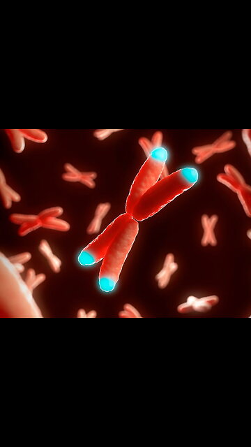 Sumerian And The Creation Of Man