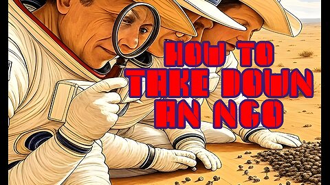 How to Take Down an NGO