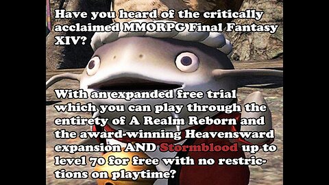 Have you heard of the critcally acclaimed MMORPG, Final Fantasy XIV?