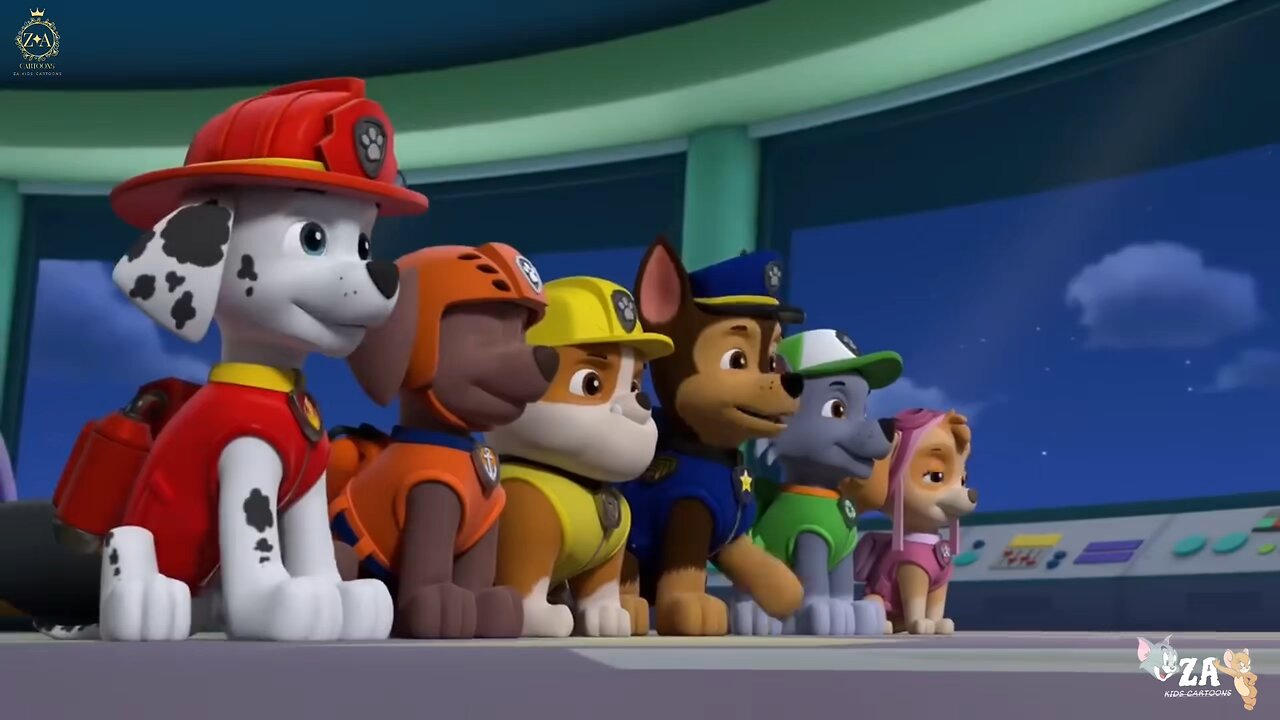 PAW Patrol Cartoons
