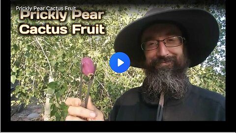 Prickly Pear Cactus Fruit: An Unexplored Delicacy
