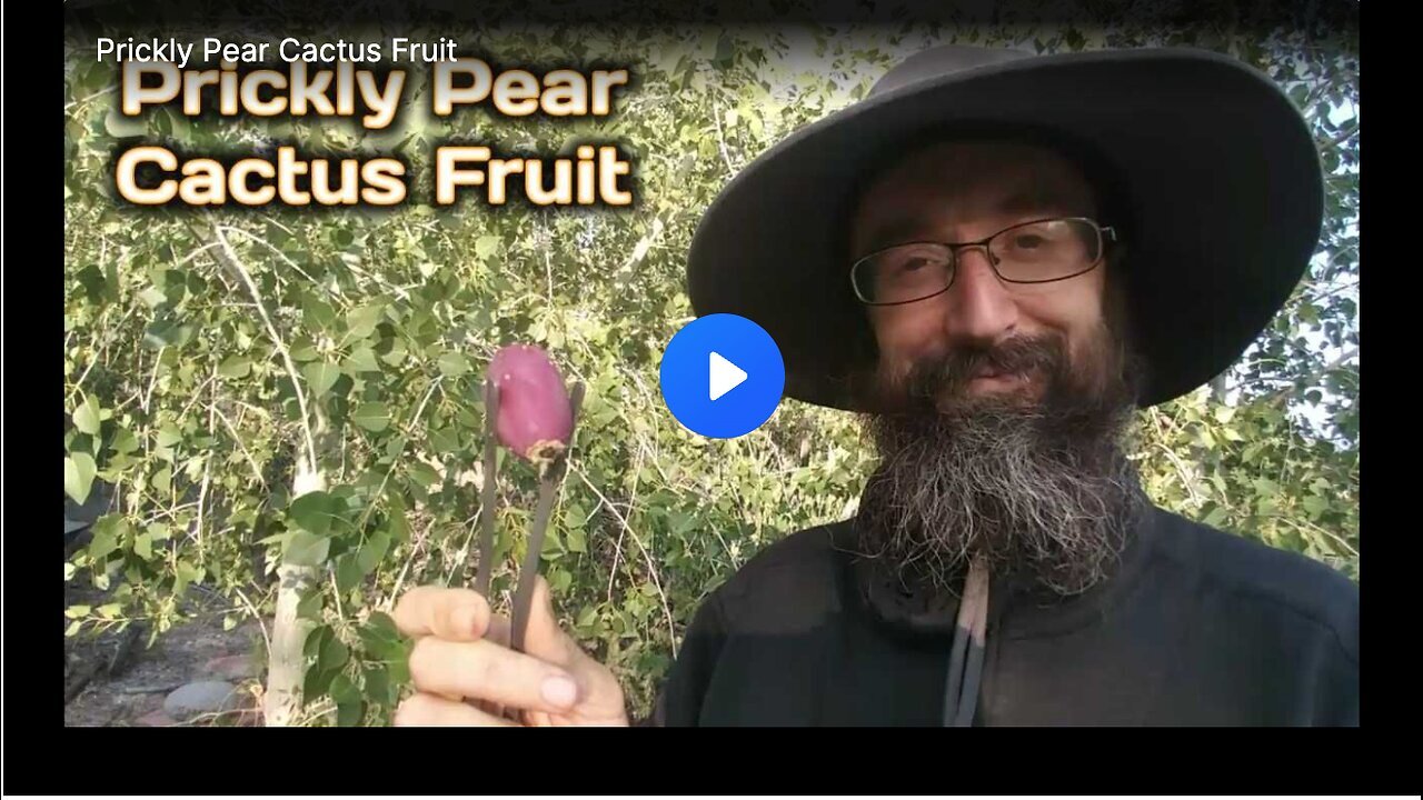 Prickly Pear Cactus Fruit: An Unexplored Delicacy
