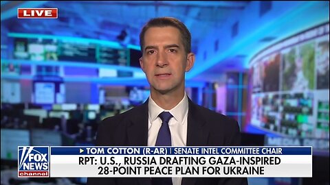 Sen Tom Cotton: Trump Is Continuing To Pressure Putin For A Deal