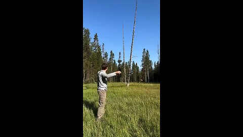 slinging based
