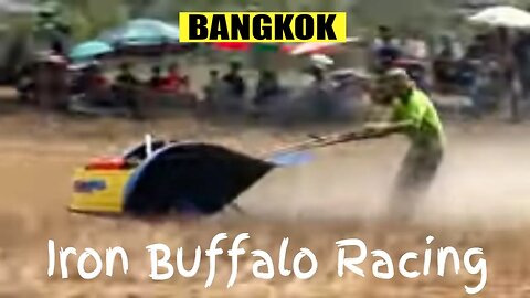 Iron Buffalo Racing on Bangkok's Outskirts | An adrenaline-filled experience