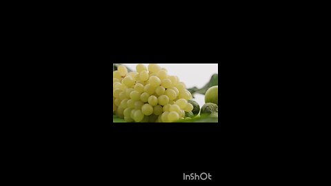 enjoy grapes 🍇🍇