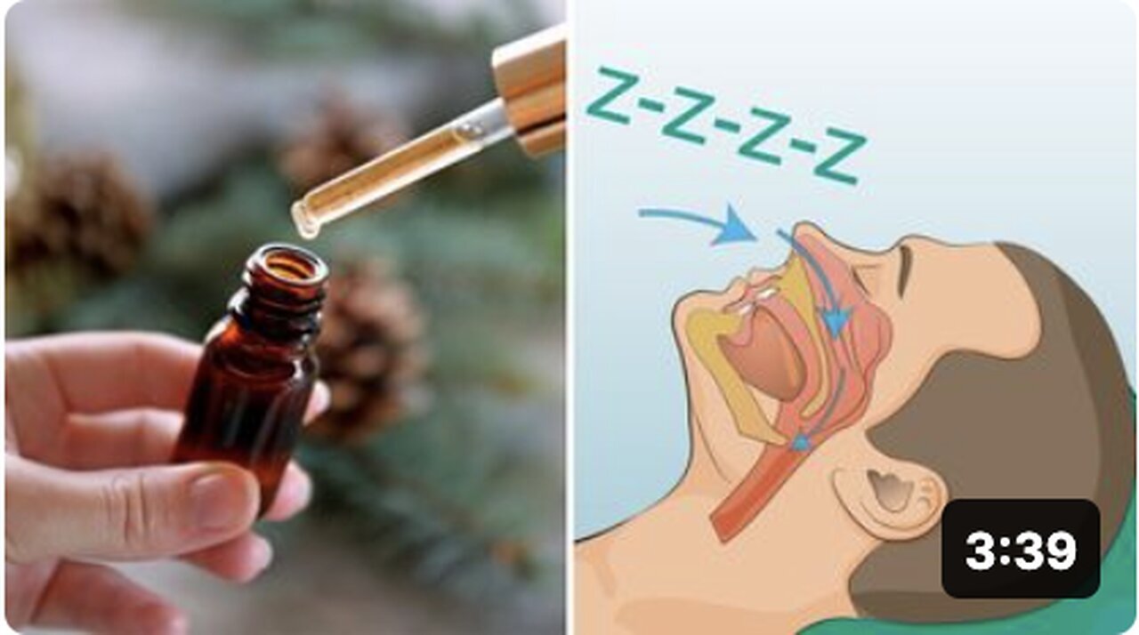 "5 Top Essential Oils to Improve Your Sleep Quality"