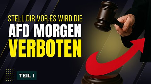 Was passiert nach einem AfD-Verbot?
