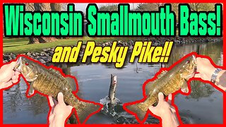Wisconsin Smallmouth Bass and some Pesky Pike!!