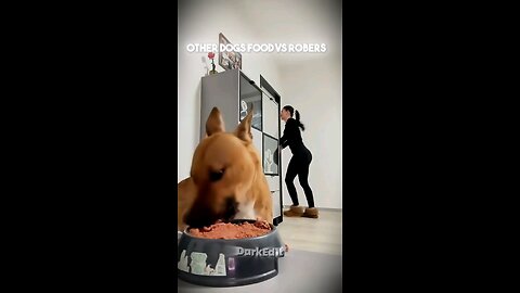Other dogs food vs robers