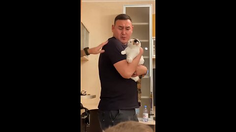 Funny Cat moments