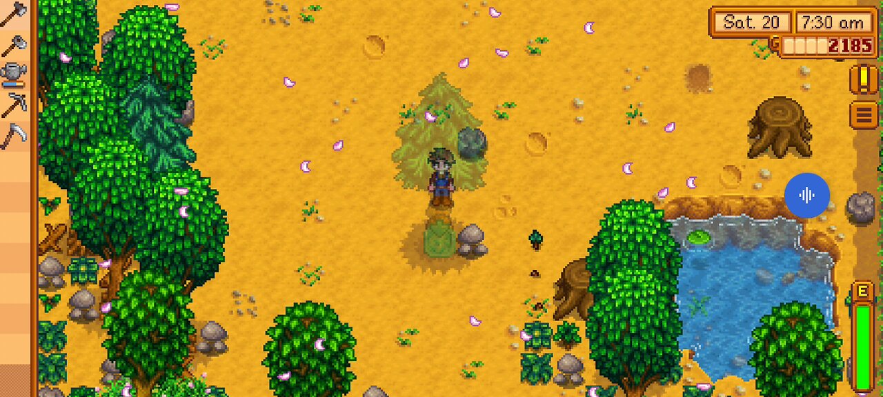 stardew valley