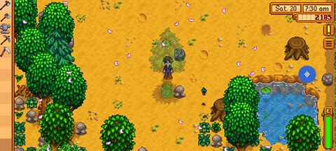 stardew valley