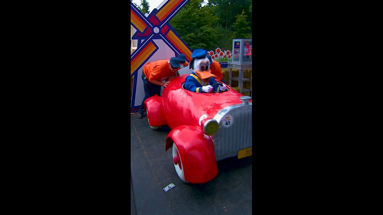 Ducks really can fly 😅💨