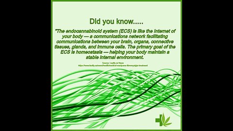 clearing_the_smoke_the_science_of_cannabis_2011