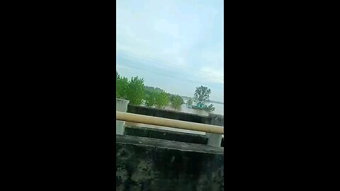 satisfying Video